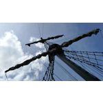 Zdjęcia użytkowników Honor 8 Pro