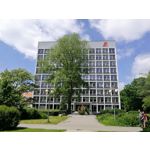 Zdjęcia użytkowników Honor 8 Pro