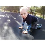 Zdjęcia użytkowników Honor 8 Pro