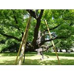 Zdjęcia użytkowników Honor 8 Pro