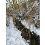 Zdjęcia użytkowników Honor 8X Zdjęcia użytkowników Honor 8X