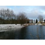 Zdjęcia użytkowników Honor 8X Zdjęcia użytkowników Honor 8X