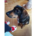 Zdjęcia użytkowników Honor 8X Zdjęcia użytkowników Honor 8X