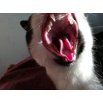 Zdjęcia użytkowników Honor 9 Lite Zdjęcia użytkowników Honor 9 Lite