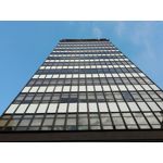 Zdjęcia użytkowników Honor 9 Lite Zdjęcia użytkowników Honor 9 Lite