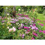 Zdjęcia użytkowników Honor 9 Dual SIM Zdjęcia użytkowników Honor 9 Dual SIM