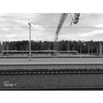 Zdjęcia użytkowników Honor 9 Dual SIM Zdjęcia użytkowników Honor 9 Dual SIM