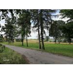 Zdjęcia użytkowników Honor 9 Dual SIM Zdjęcia użytkowników Honor 9 Dual SIM