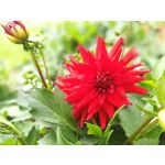 Zdjęcia użytkowników Honor 9 Dual SIM Zdjęcia użytkowników Honor 9 Dual SIM