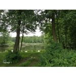 Zdjęcia użytkowników Honor 9 Dual SIM Zdjęcia użytkowników Honor 9 Dual SIM