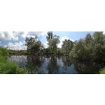 Zdjęcia użytkowników Honor 9 Dual SIM Zdjęcia użytkowników Honor 9 Dual SIM