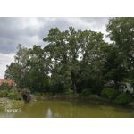 Zdjęcia użytkowników Honor 9 Dual SIM Zdjęcia użytkowników Honor 9 Dual SIM