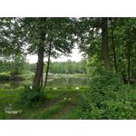 Zdjęcia użytkowników Honor 9 Dual SIM Zdjęcia użytkowników Honor 9 Dual SIM