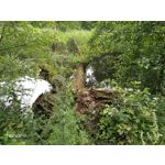 Zdjęcia użytkowników Honor 9 Dual SIM Zdjęcia użytkowników Honor 9 Dual SIM