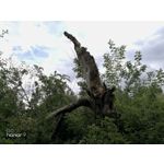 Zdjęcia użytkowników Honor 9 Dual SIM Zdjęcia użytkowników Honor 9 Dual SIM