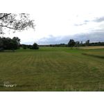 Zdjęcia użytkowników Honor 9 Dual SIM Zdjęcia użytkowników Honor 9 Dual SIM