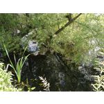 Zdjęcia użytkowników Honor 9 Dual SIM Zdjęcia użytkowników Honor 9 Dual SIM