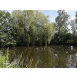 Zdjęcia użytkowników Honor 9 Dual SIM Zdjęcia użytkowników Honor 9 Dual SIM