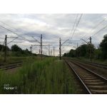 Zdjęcia użytkowników Honor 9 Dual SIM Zdjęcia użytkowników Honor 9 Dual SIM