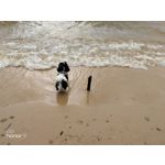 Zdjęcia użytkowników Honor 9 Dual SIM Zdjęcia użytkowników Honor 9 Dual SIM