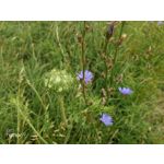 Zdjęcia użytkowników Honor 9 Dual SIM Zdjęcia użytkowników Honor 9 Dual SIM