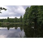 Zdjęcia użytkowników Honor 9 Dual SIM Zdjęcia użytkowników Honor 9 Dual SIM