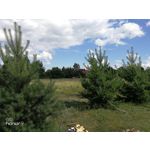 Zdjęcia użytkowników Honor 9 Dual SIM Zdjęcia użytkowników Honor 9 Dual SIM