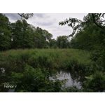 Zdjęcia użytkowników Honor 9 Dual SIM Zdjęcia użytkowników Honor 9 Dual SIM