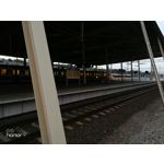 Zdjęcia użytkowników Honor 9 Dual SIM Zdjęcia użytkowników Honor 9 Dual SIM