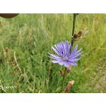 Zdjęcia użytkowników Honor 9 Dual SIM Zdjęcia użytkowników Honor 9 Dual SIM