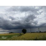 Zdjęcia użytkowników Honor 9 Dual SIM Zdjęcia użytkowników Honor 9 Dual SIM