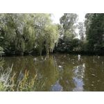 Zdjęcia użytkowników Honor 9 Dual SIM Zdjęcia użytkowników Honor 9 Dual SIM