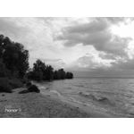 Zdjęcia użytkowników Honor 9 Dual SIM Zdjęcia użytkowników Honor 9 Dual SIM