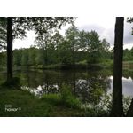 Zdjęcia użytkowników Honor 9 Dual SIM Zdjęcia użytkowników Honor 9 Dual SIM