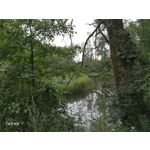 Zdjęcia użytkowników Honor 9 Dual SIM Zdjęcia użytkowników Honor 9 Dual SIM