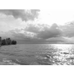 Zdjęcia użytkowników Honor 9 Dual SIM Zdjęcia użytkowników Honor 9 Dual SIM