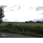 Zdjęcia użytkowników Honor 9 Dual SIM Zdjęcia użytkowników Honor 9 Dual SIM