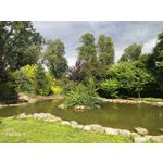 Zdjęcia użytkowników Honor 9 Dual SIM Zdjęcia użytkowników Honor 9 Dual SIM