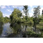 Zdjęcia użytkowników Honor 9 Dual SIM Zdjęcia użytkowników Honor 9 Dual SIM