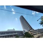 Zdjęcia użytkowników Honor 90