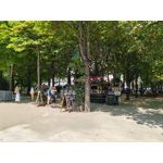 Zdjęcia użytkowników Honor 90