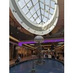 Zdjęcia użytkowników Honor 9X Global Edition