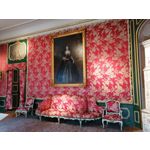 Zdjęcia użytkowników Honor 9X Global Edition