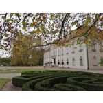 Zdjęcia użytkowników Honor 9X Global Edition