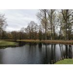 Zdjęcia użytkowników Honor 9X Global Edition