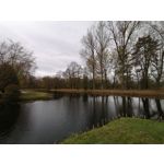 Zdjęcia użytkowników Honor 9X Global Edition