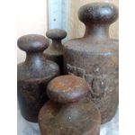 Zdjęcia użytkowników Honor Holly