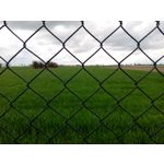 Zdjęcia użytkowników Honor Holly