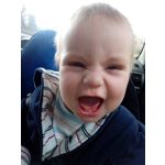 Zdjęcia użytkowników Honor Holly