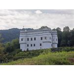 Zdjęcia użytkowników Honor Magic5 Pro